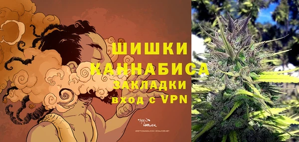 ешки Аркадак