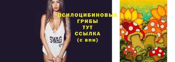 бошки Алексин